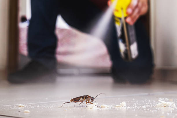 Best Best Pest Control Near Me  in Louisa, VA